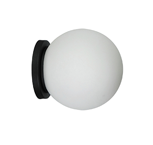 862/1/ NEGRO OPAL